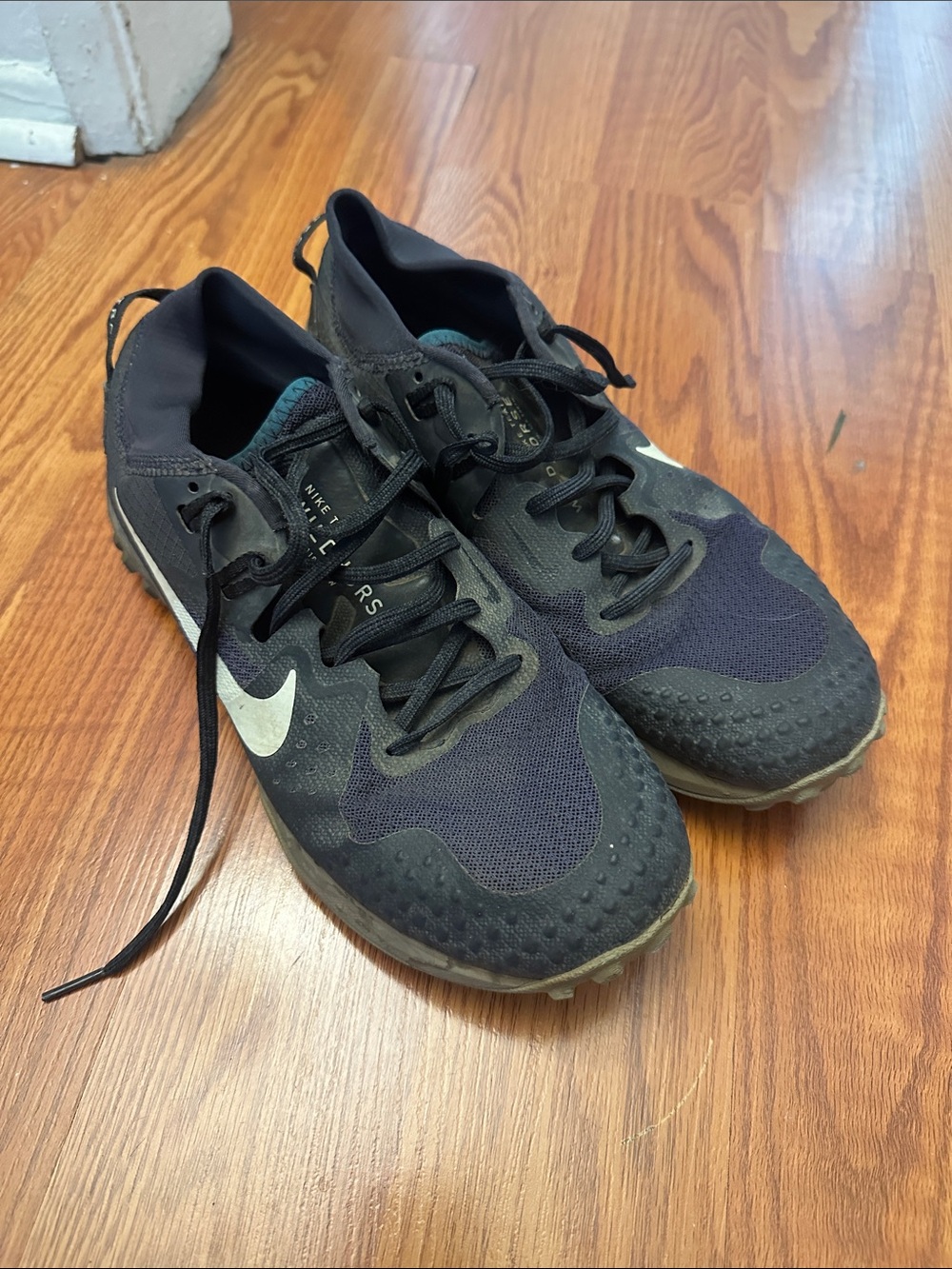Nike Men’s Black and Blue Trail Shoes